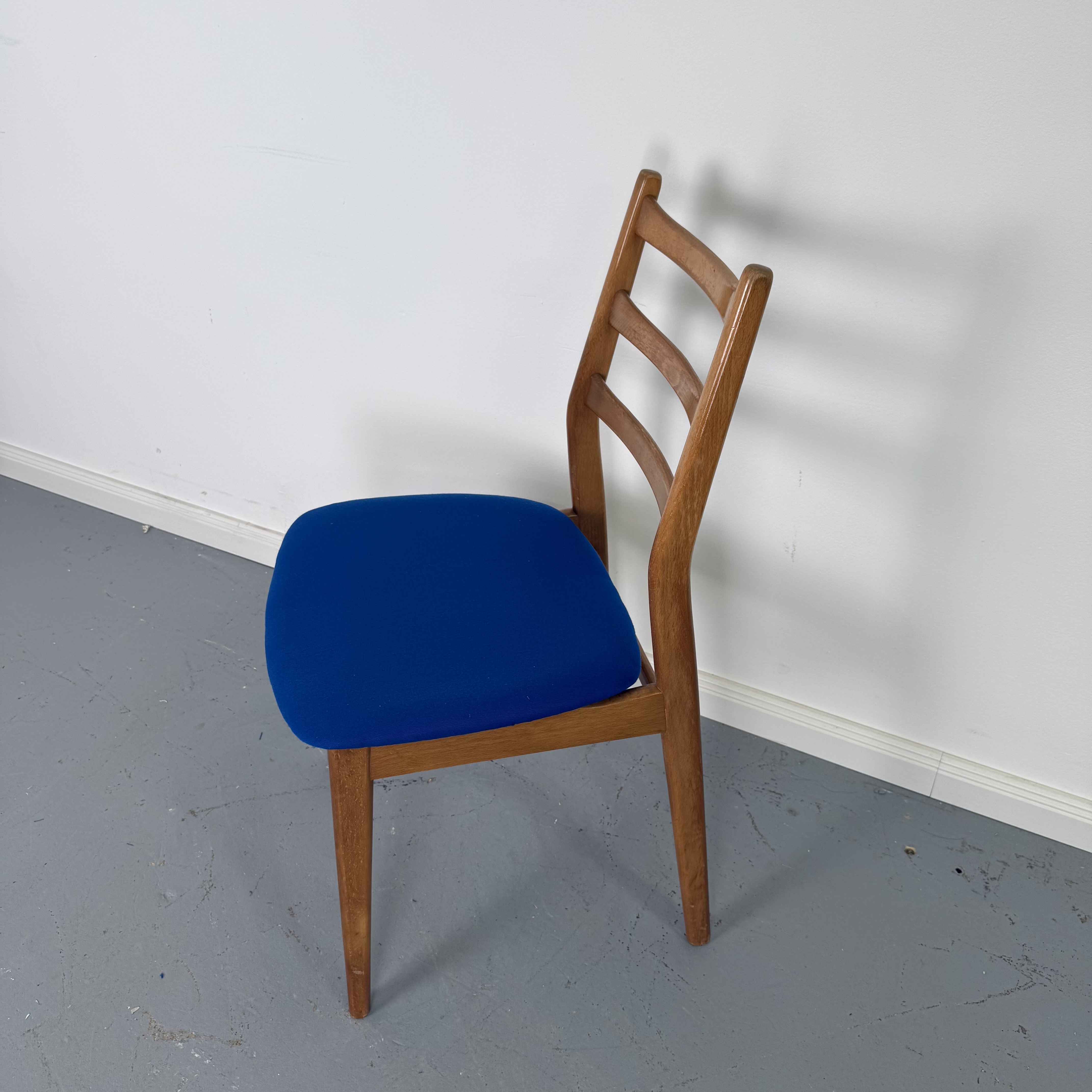 Casala Stühle mit knallblauem Bezug im Mid-Century Design Casala Stühle mit knallblauem Bezug im Mid-Century Design